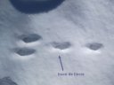 moustier_fev_2011_12.jpg