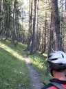 pasquier_32.jpg