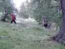 pelat_2010_05.jpg