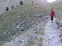 pelat_2010_22.jpg