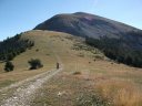 petit_cordoeil_antenne_23.jpg