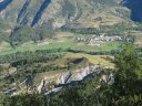 petit_cordoeil_antenne_51.jpg