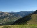 petit_cordoeil_antenne_55.jpg