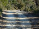 pilon_st_clement_fev_2011_06.jpg