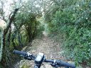 pilon_st_clement_fev_2011_12.jpg
