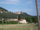 reganas_2011_1.jpg
