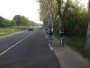 sangliers_2011_06_1.jpg