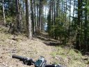 sentier_du_villard_2011_14.jpg