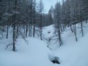 valdemars_1_2010_02.jpg