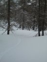 valdemars_2010_07.jpg