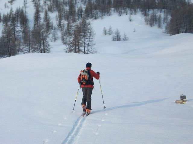 valdemars_1_2010_05.jpg
