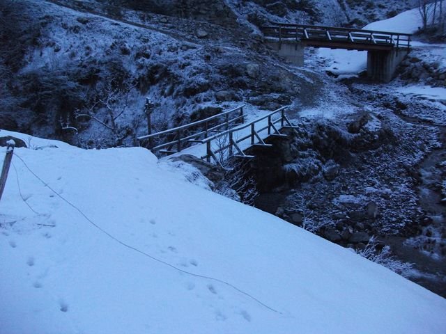 valdemars_2010_02.jpg