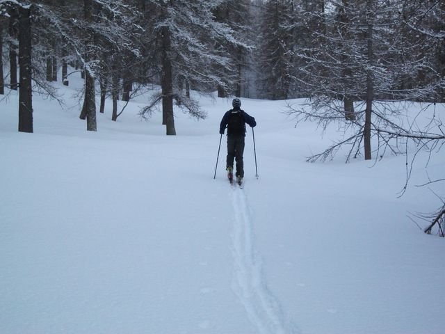 valdemars_2010_06.jpg