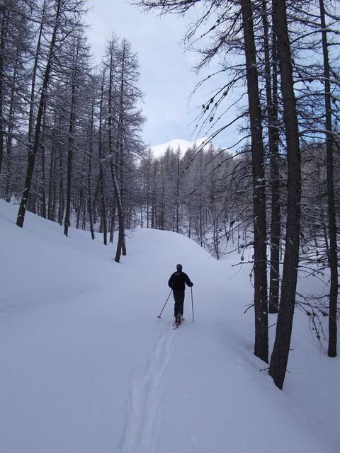 valdemars_2010_08.jpg