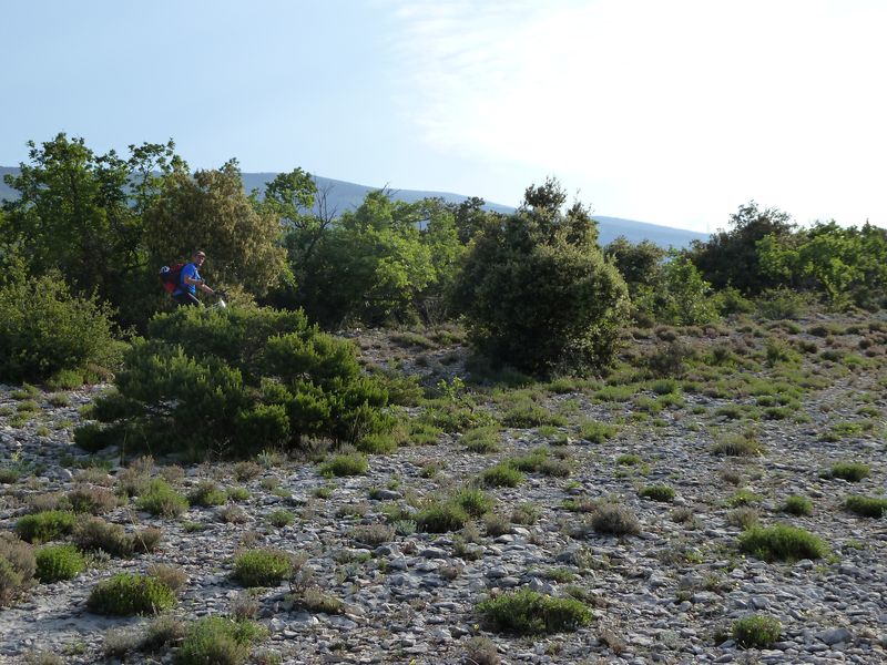 ventoux_2011_05_1.jpg