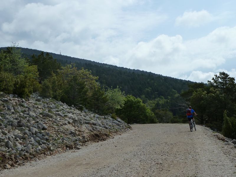 ventoux_2011_11_1.jpg