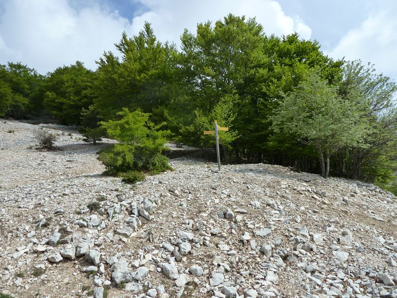 ventoux_2011_17_1.jpg