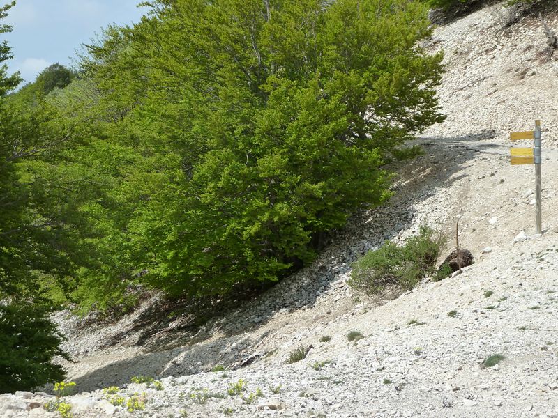 ventoux_2011_21_1.jpg