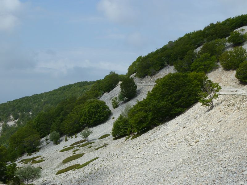 ventoux_2011_23_1.jpg