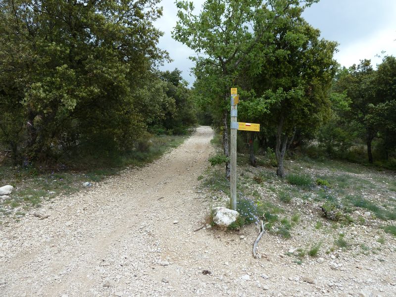ventoux_2011_62_1.jpg