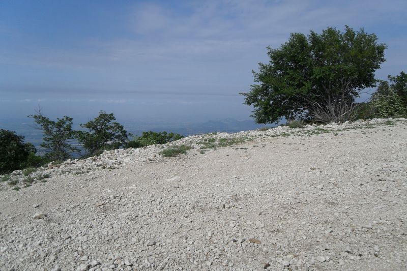 ventoux_2011_robert_11_1.jpg