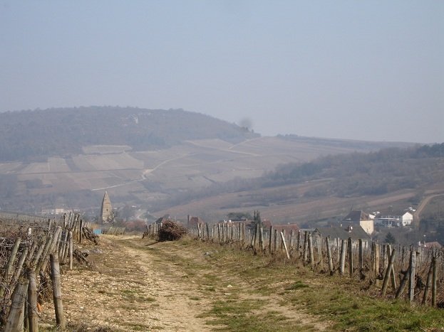 DSC00003.JPG