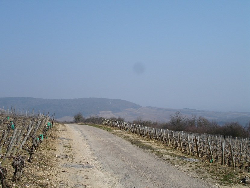 DSC00009.JPG
