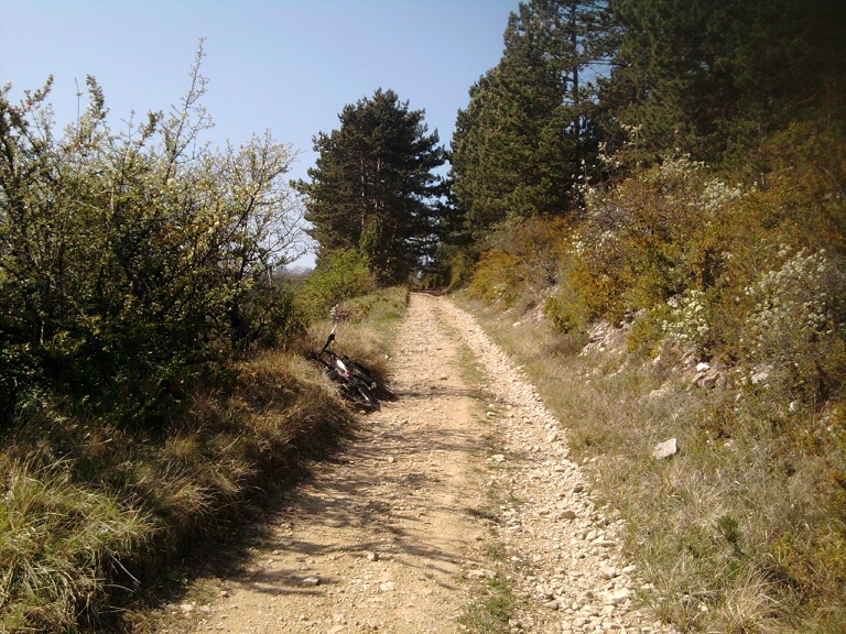 Photo0460~0.jpg