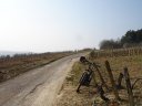 DSC00008.JPG