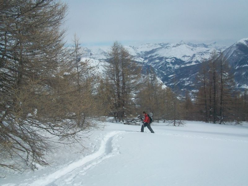 100_2843.jpg