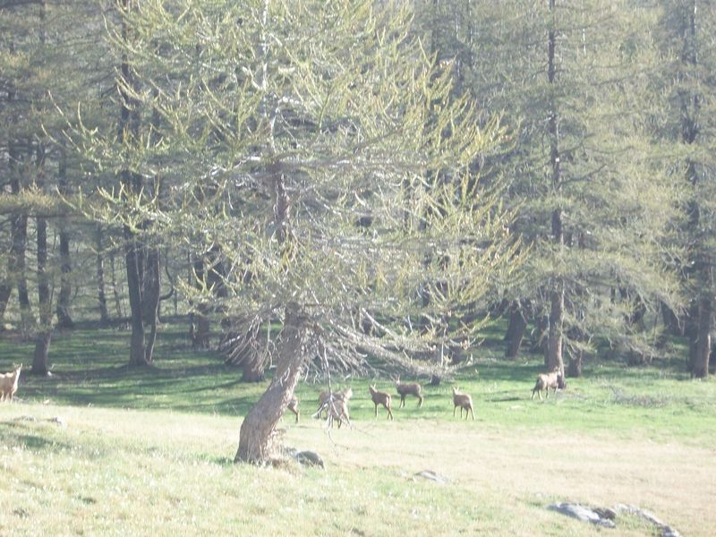 100_3306~0.jpg