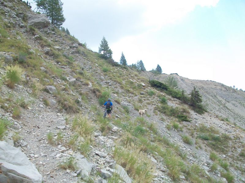 100_3583.jpg