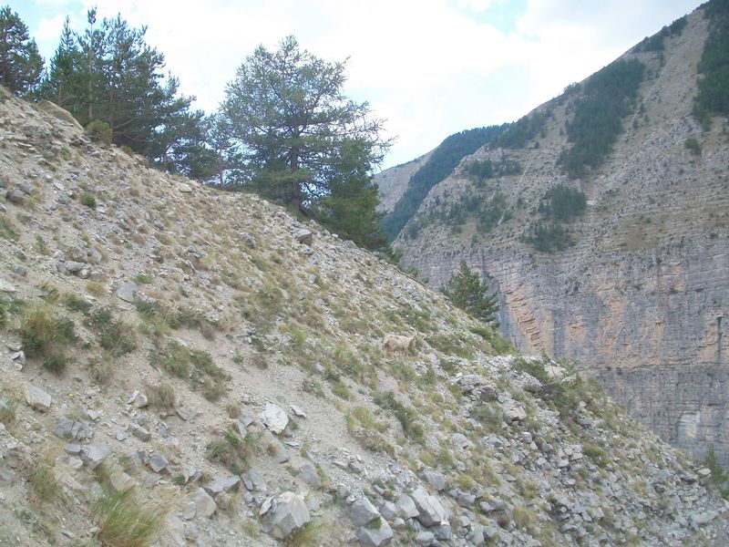 100_3584.jpg