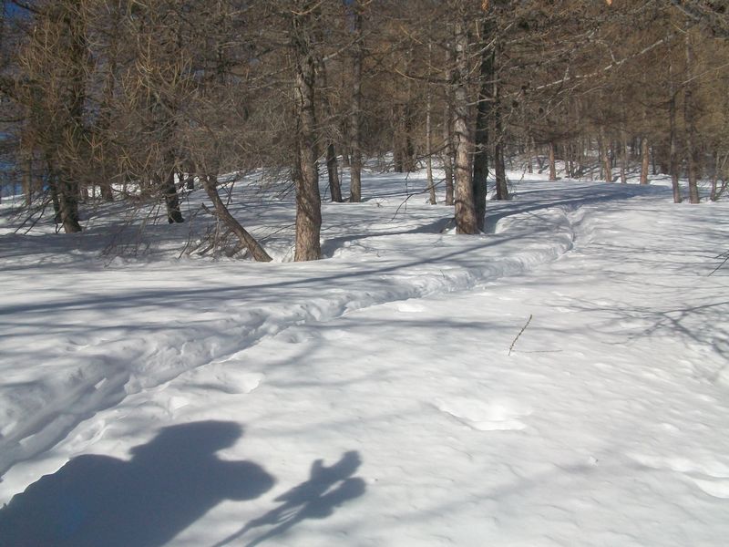 100_4121.jpg