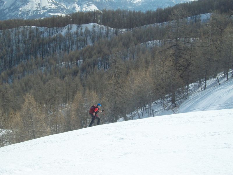 100_4995.jpg