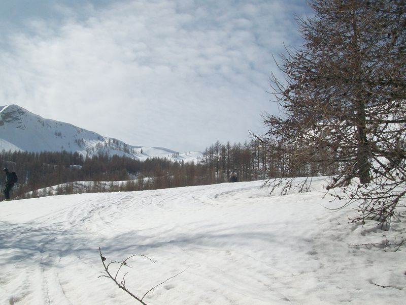 100_5016.jpg
