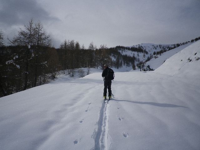 IMGP1831_640x480.jpg