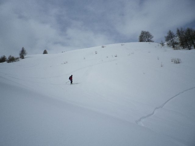 IMGP1838_640x480.jpg