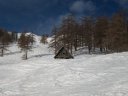 100_1460.JPG