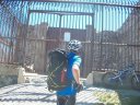 100_3499.jpg
