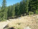 100_3567.jpg