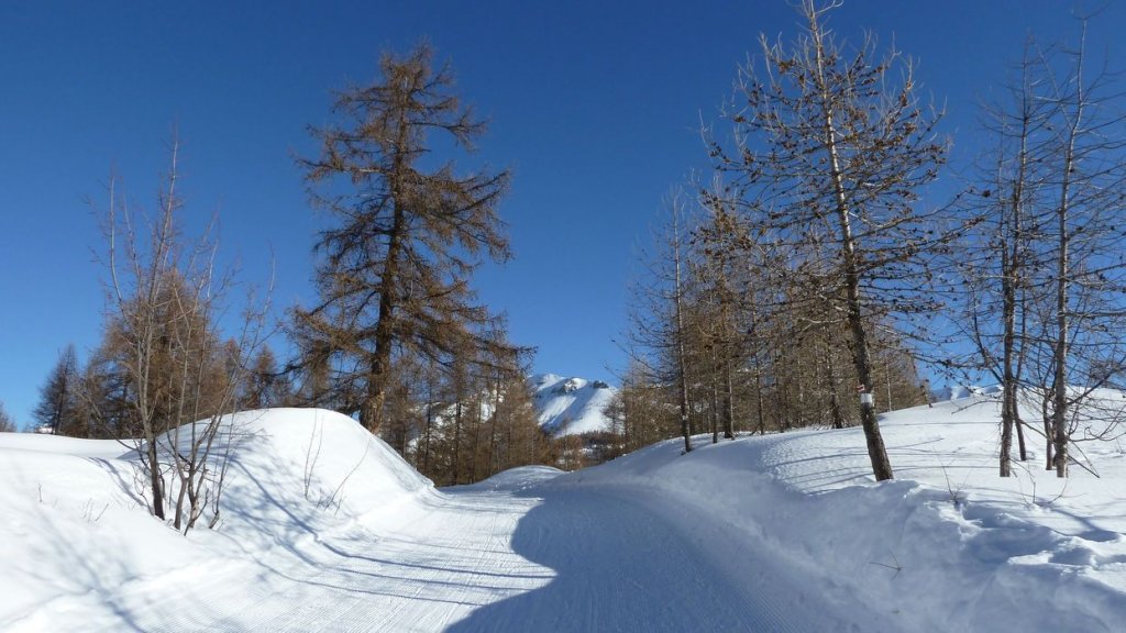 valcibiere_fev_2013_020.jpg