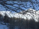 valdemars_dec_2011_051.jpg