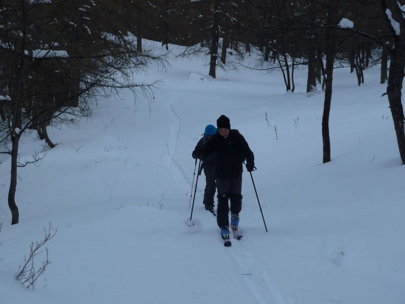 valdemars_dec_2011_025.jpg
