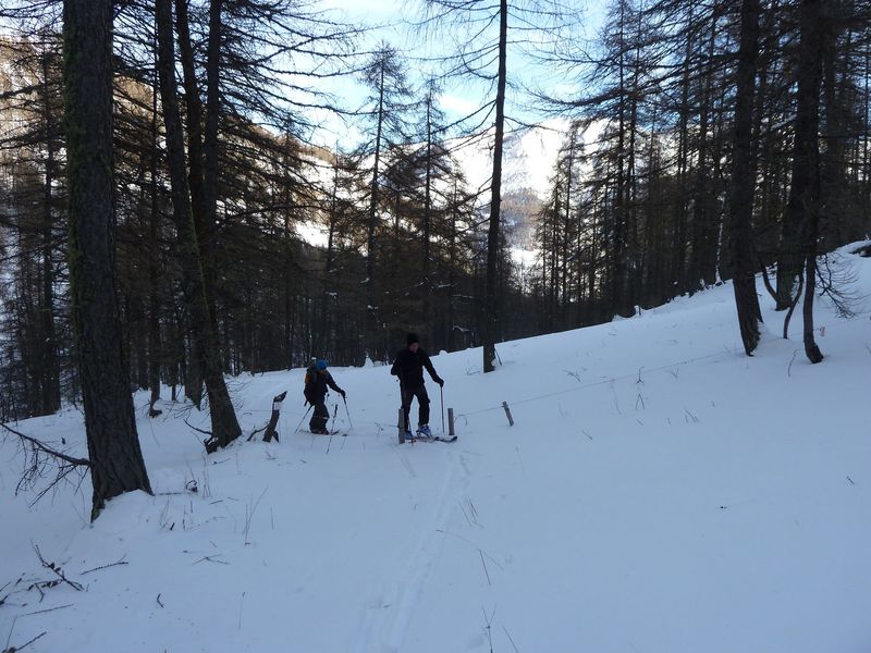 valdemars_dec_2011_027.jpg