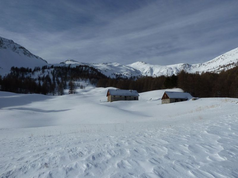 valdemars_dec_2011_029.jpg