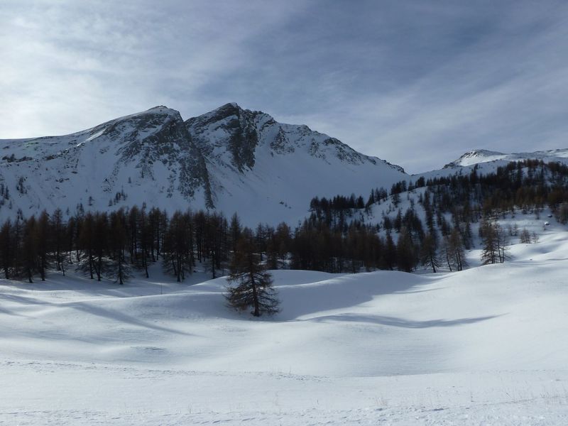 valdemars_dec_2011_033.jpg