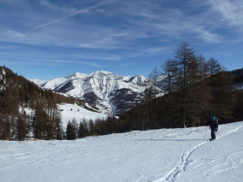valdemars_dec_2011_037.jpg