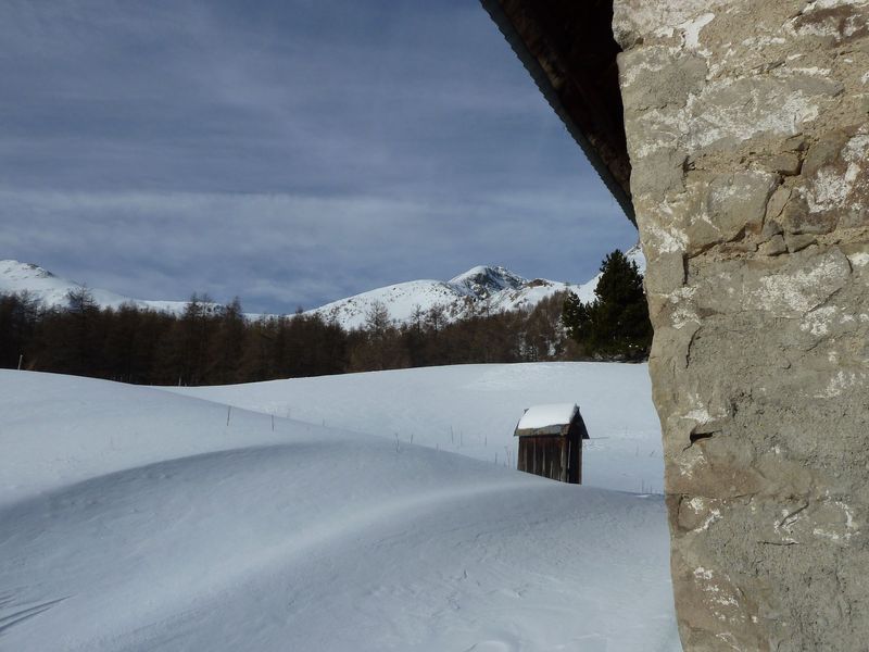 valdemars_dec_2011_039.jpg