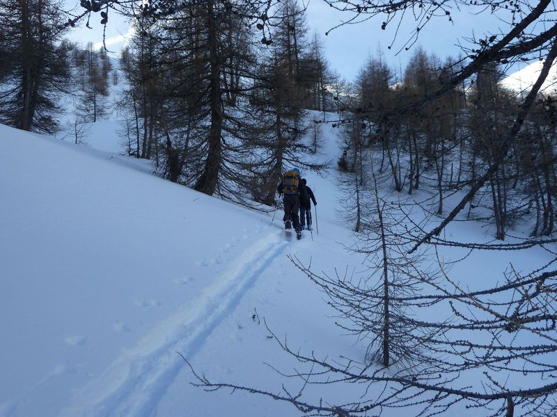 valdemars_dec_2011_053.jpg